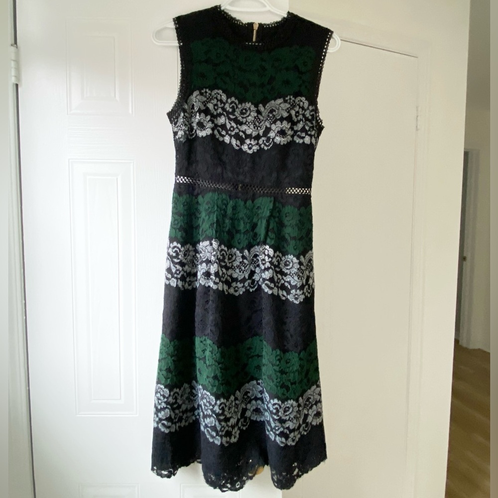 Ted Baker striped A-line lace dress
